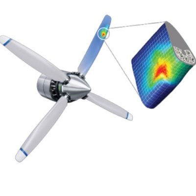 Bird-Strike-Protection-How-It-Works